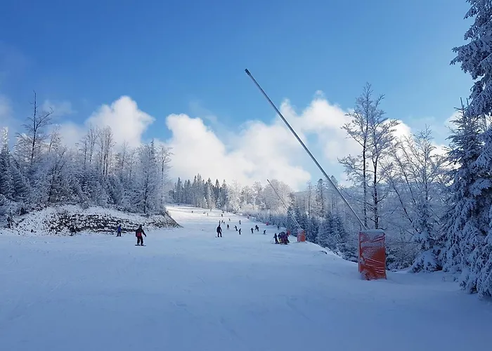 Apartman Pod Czyrna Szczyrk